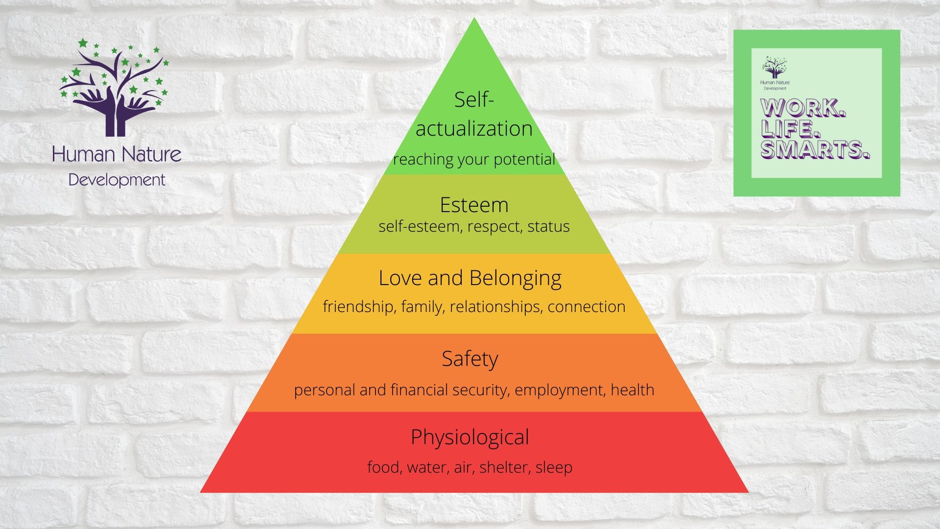 maslow's hierarchy of needs